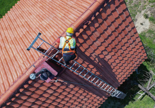 Best Steel Roofing  in Le Roy, IL